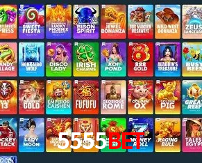 Suporte 5555bet